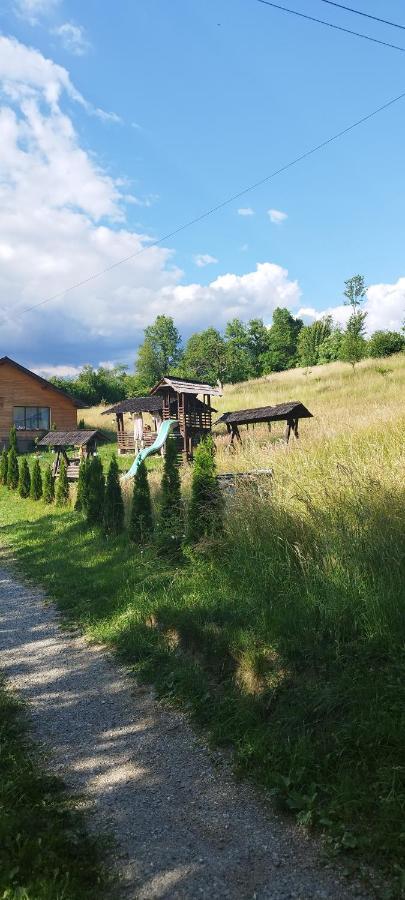 Вилла Casa Dunca Сигету-Мармацией Экстерьер фото